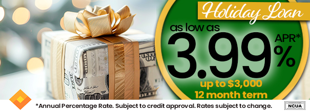 Holiday Loan As Low As 3.99 Annual Percentage Rate